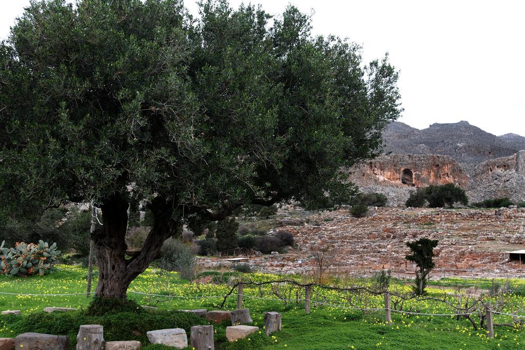 Villa Kalliopi Ιncreteble Cretan Resindences Collection Ксерокампос Екстер'єр фото
